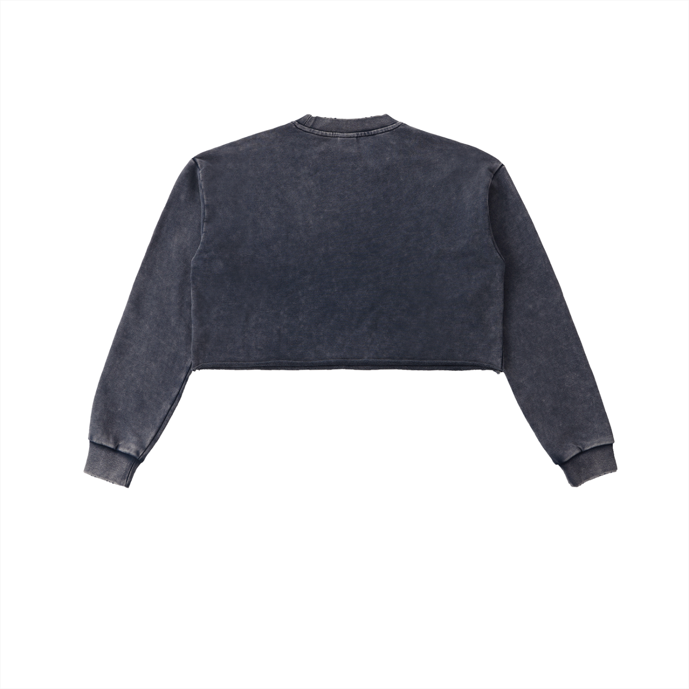 Stakky Season 2 Snow Washed Raw Edge Cropped Sweatshirt