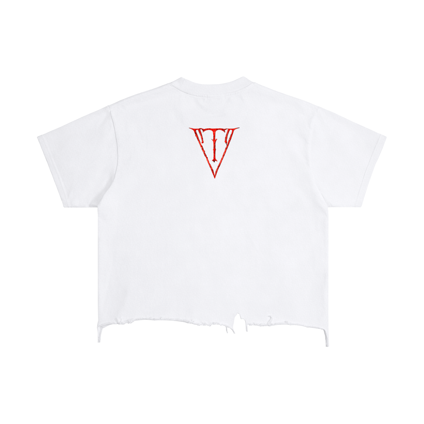 Aonaran NevaeH Vintage Wash Boxy Distressed Hem T-Shirt