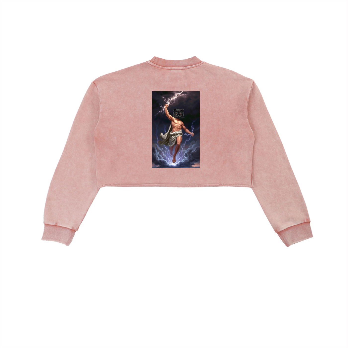 ThunderBuddies Snow Washed Raw Edge Cropped Sweatshirt