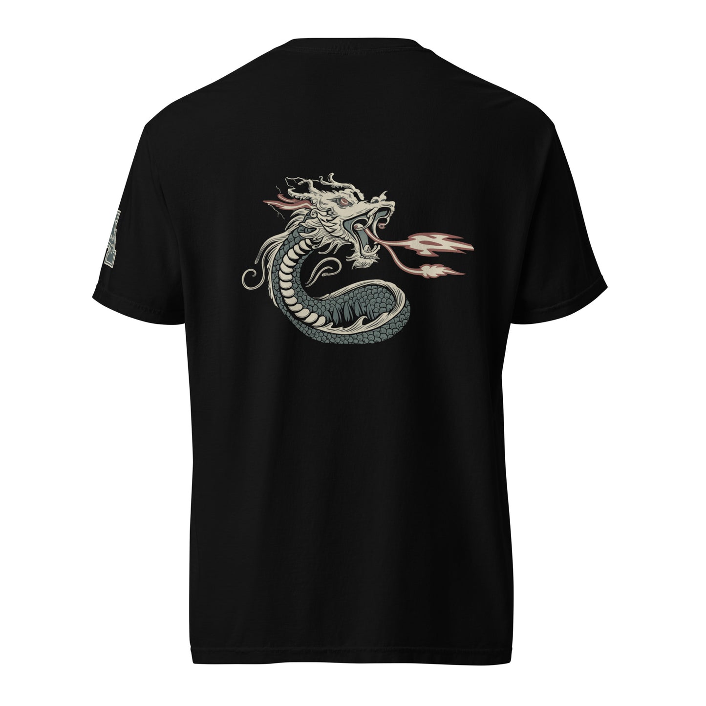 DS1 Unisex t-shirt