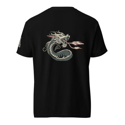 DS1 Unisex t-shirt